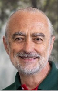 Dr. Lukas Gallei